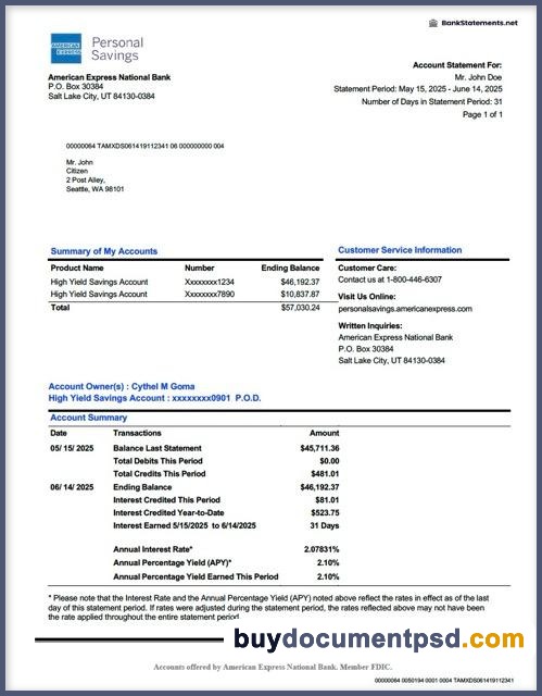 Buy Amex statement Template