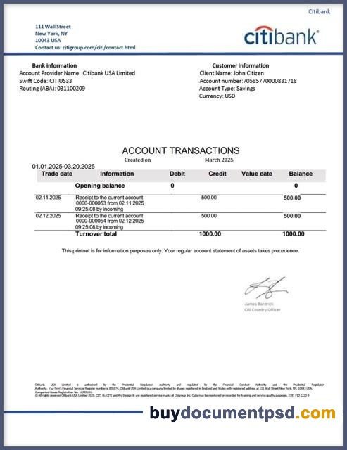 Buy City Bank Statement Template PSD
