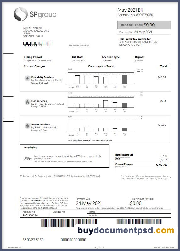 Buy Singapore Pacific Light Bill Template PSD