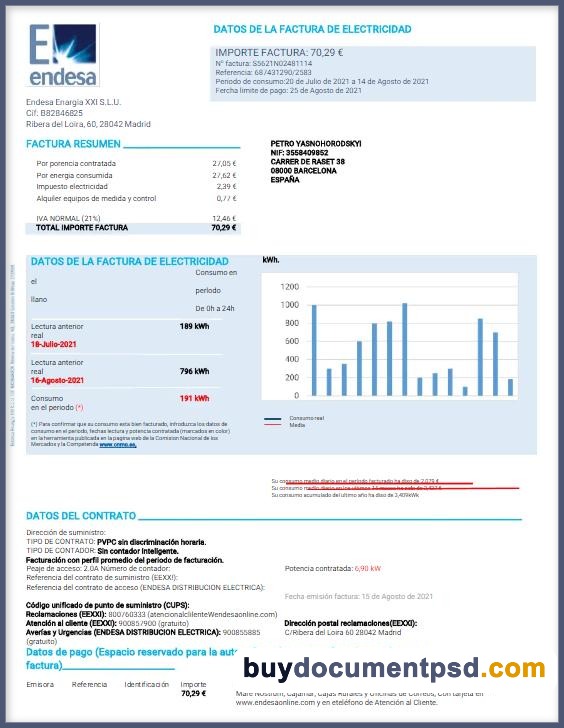 Buy Spain Endesa bill Template PSD