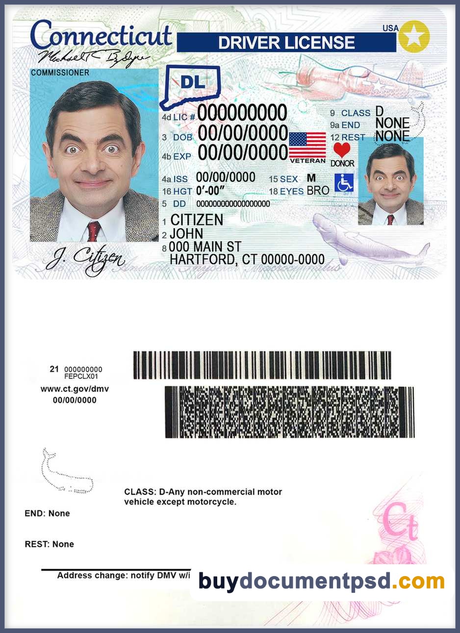 Buy Connecticut Driving Licence Template