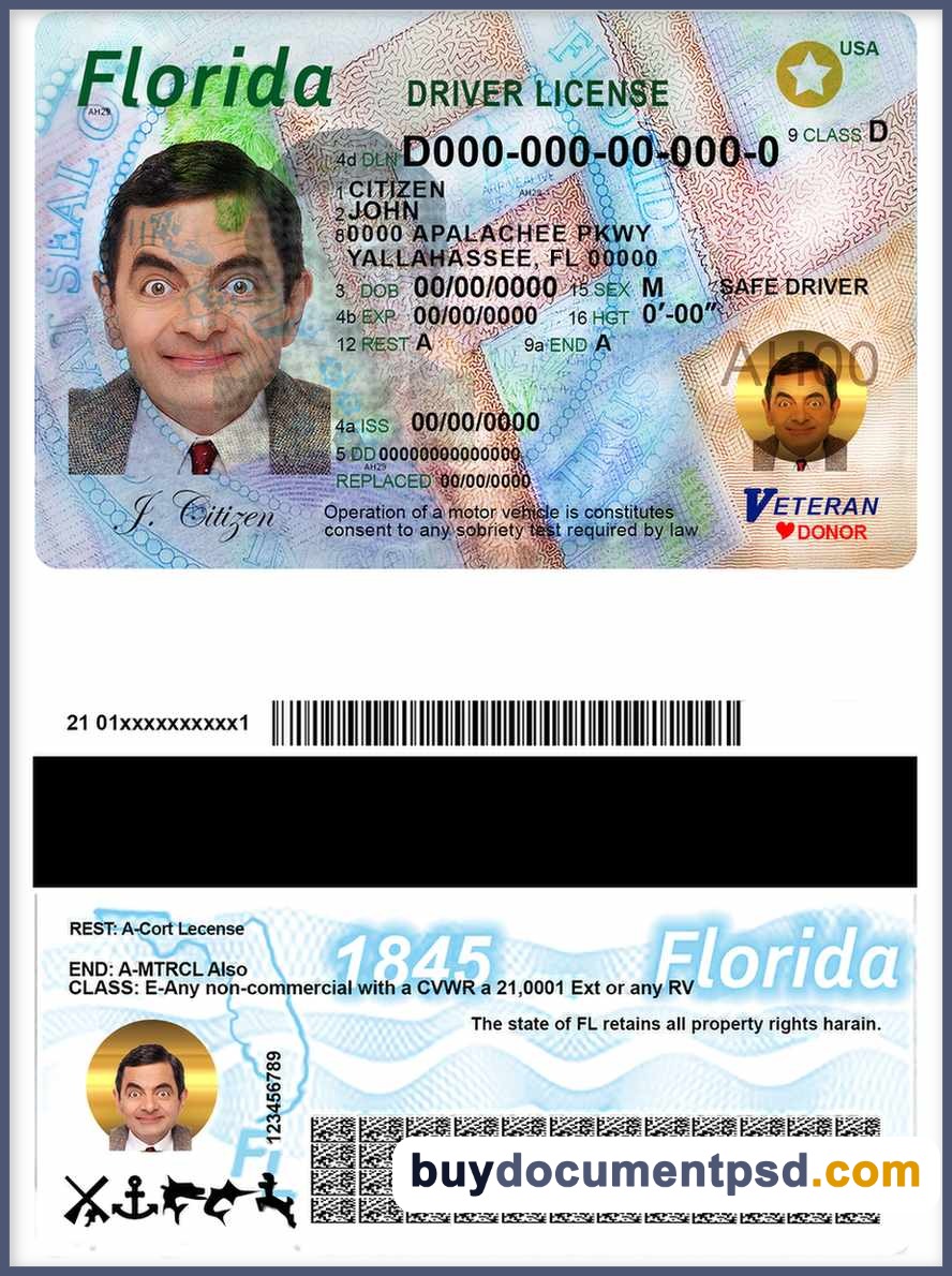 Buy Florida Driving Licence Template