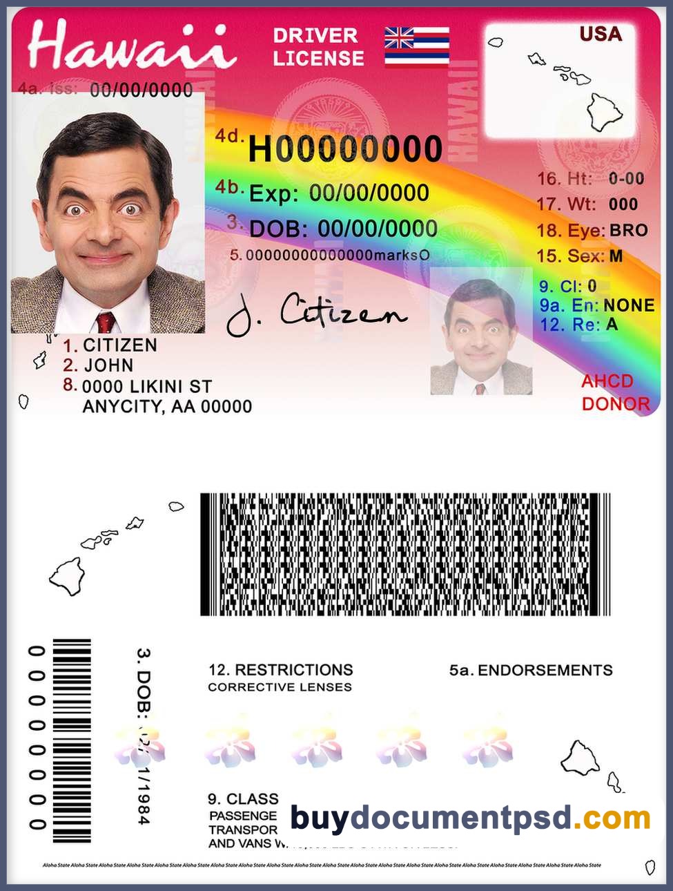 Buy Hawaii Driving Licence Template