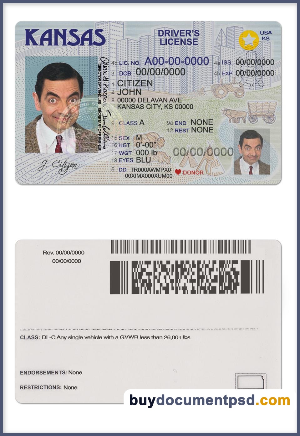 Buy Kansas Driving Licence Template