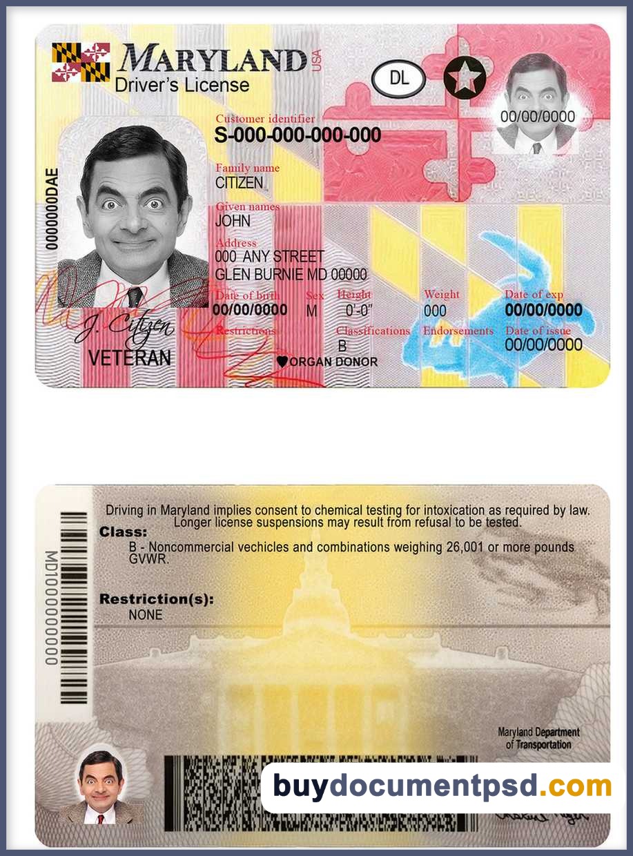Buy Maryland Driving Licence Template