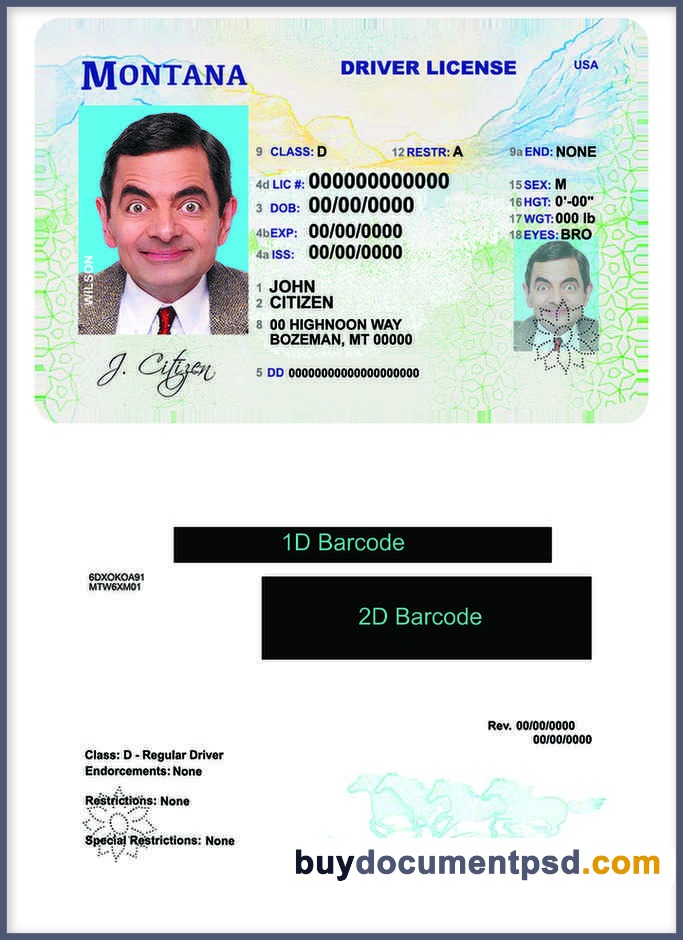Buy Montana Driving Licence Template