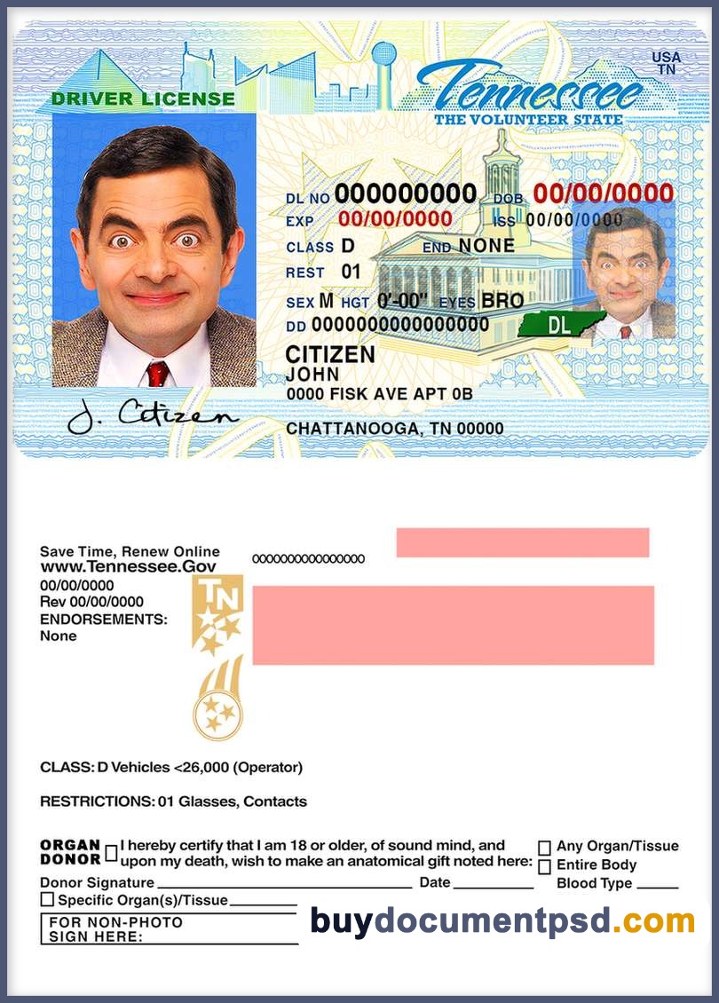 Buy Tennessee Driving Licence Template