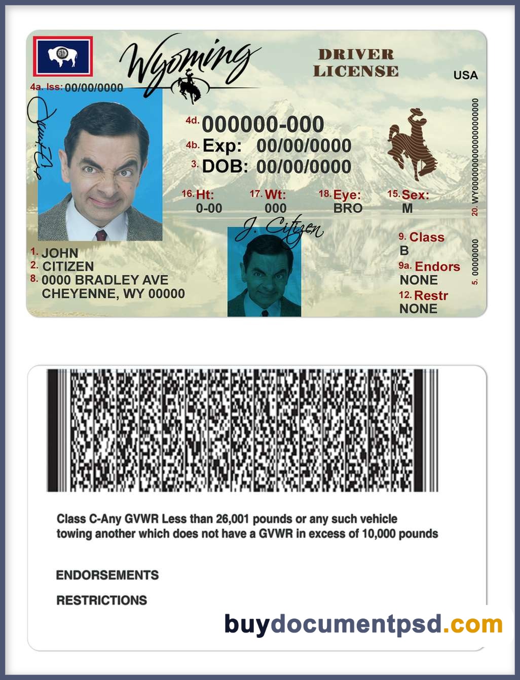 Buy Wyoming Driving Licence Template
