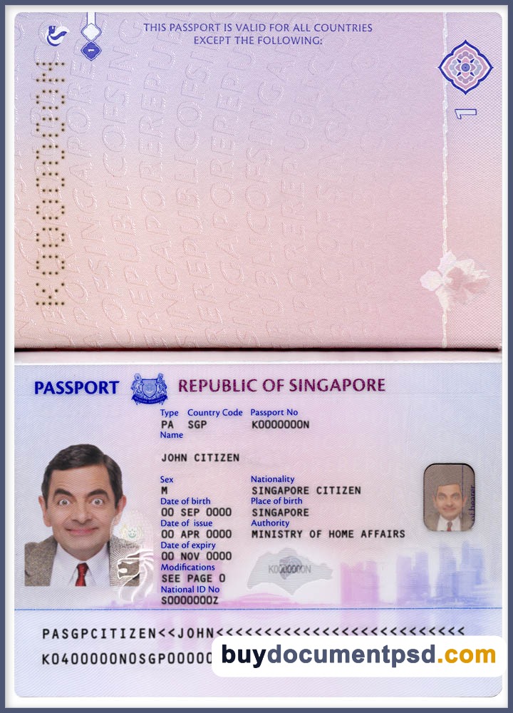 Buy Singapore Passport Template