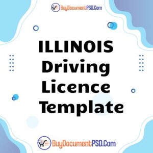 Buy Illinois Driving Licence Template
